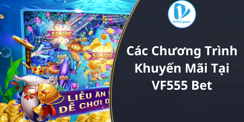 Các Chương Trình Khuyến Mãi Tại VF555 Bet