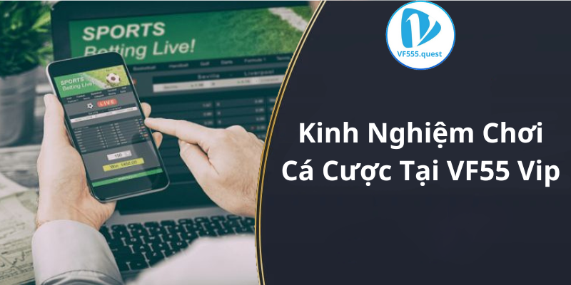 Kinh Nghiệm Chơi Cá Cược Tại VF55 Vip