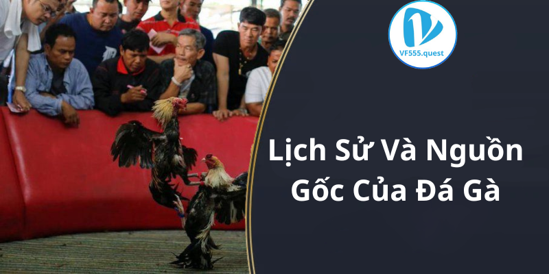 Lịch Sử Và Nguồn Gốc Của Đá Gà