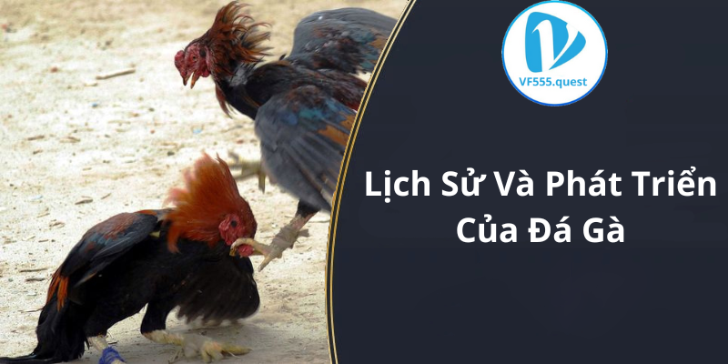 Lịch Sử Và Phát Triển Của Đá Gà