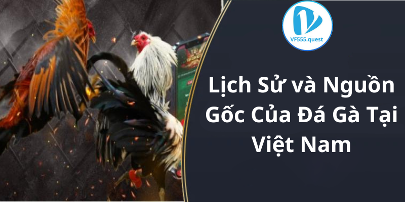 Lịch Sử và Nguồn Gốc Của Đá Gà Tại Việt Nam