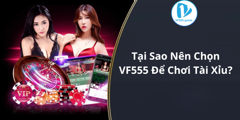 Tại Sao Nên Chọn VF555 Để Chơi Tài Xỉu