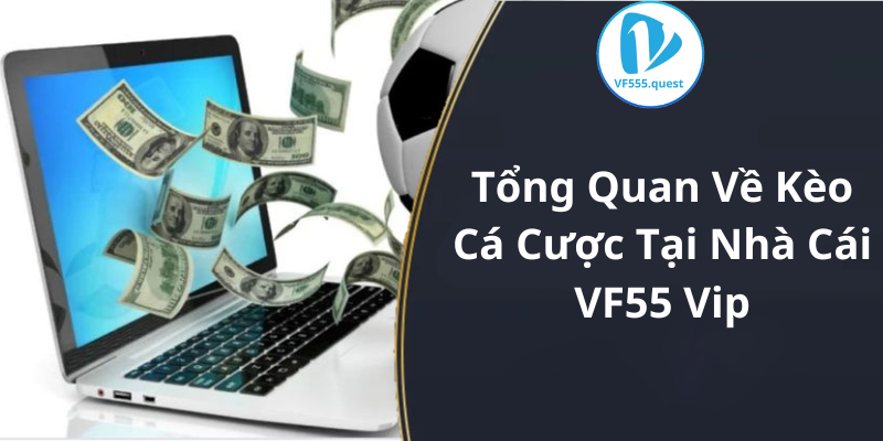 Tổng Quan Về Kèo Cá Cược Tại Nhà Cái VF55 Vip