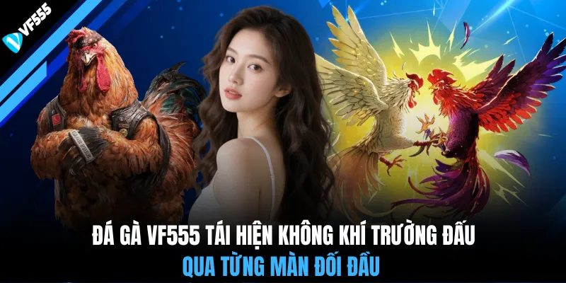 Đá gà VF555 tái hiện không khí trường đấu qua từng màn đối đầu